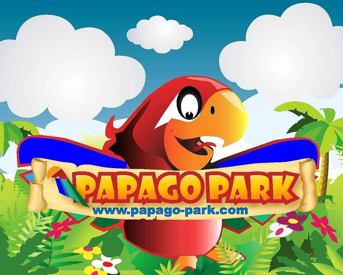 papago papige parraots