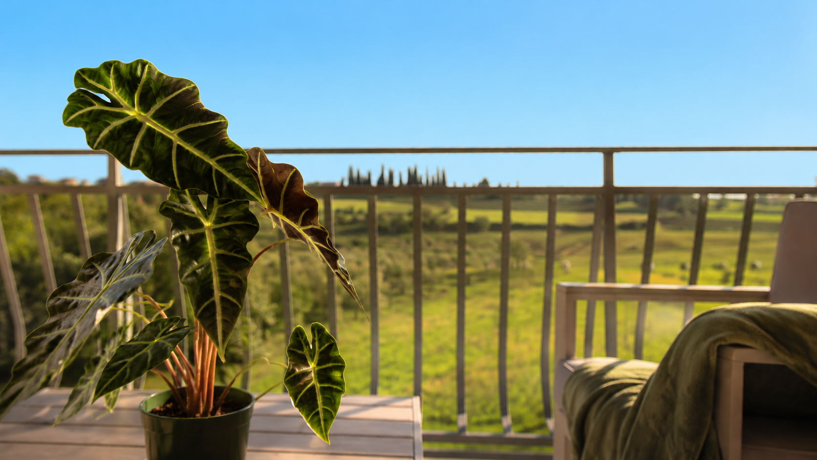 apartman apartmant Novigrad
